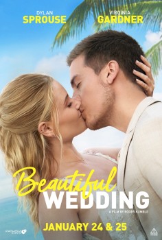 Download Beautiful Wedding (2024) WEB-DL Dual Audio Hindi ORG 1080p | 720p | 480p [300MB] download